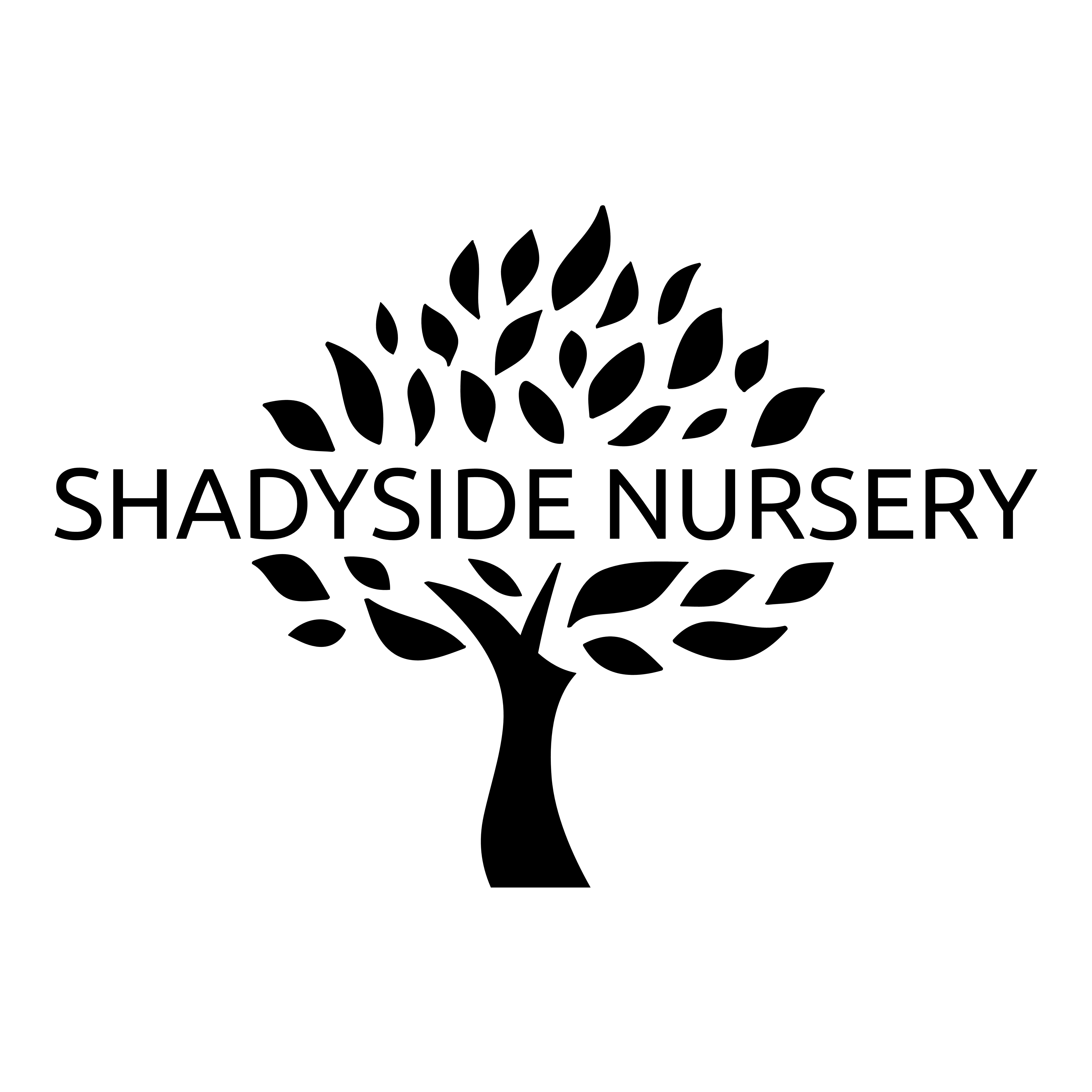 SHADYSIDE NURSERY